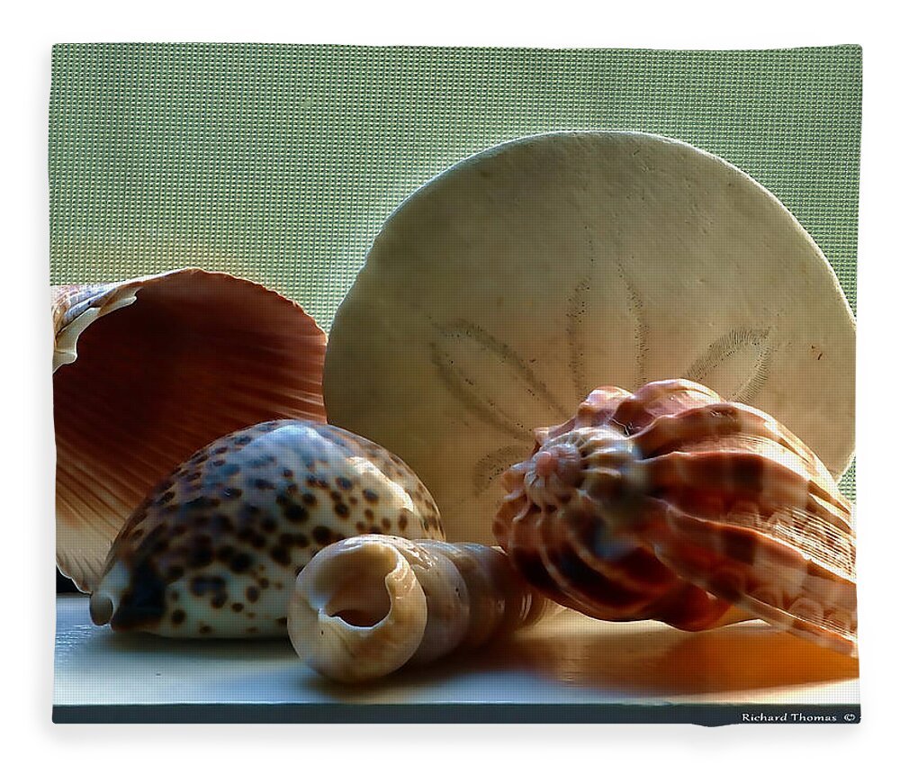 Still Life Fleece Blanket featuring the photograph Sea Shells Window Sill by Richard Thomas
