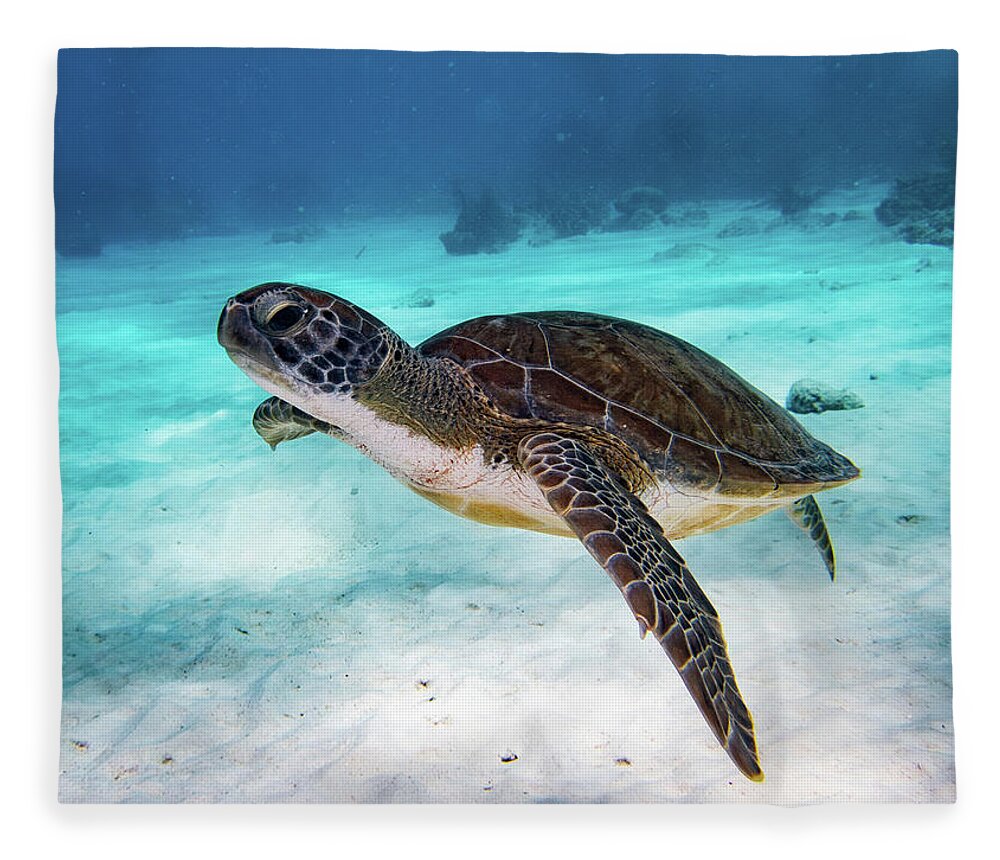 Turtle Fleece Blanket featuring the photograph Sea Turtle by Brian Weber