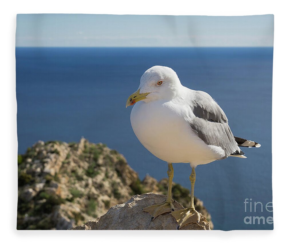 Seagull Fleece Blanket featuring the photograph Seagull of the Mediterranean coast by Adriana Mueller