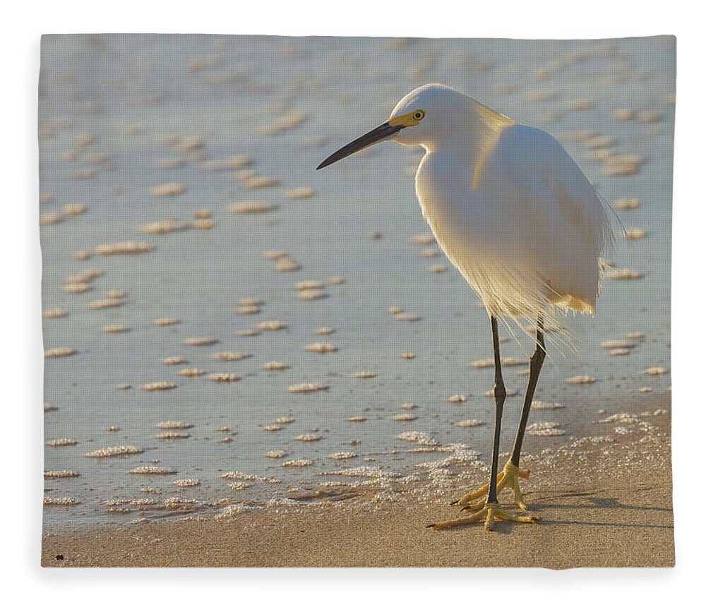 Egret Fleece Blanket featuring the photograph Seaside Stroll by RD Allen