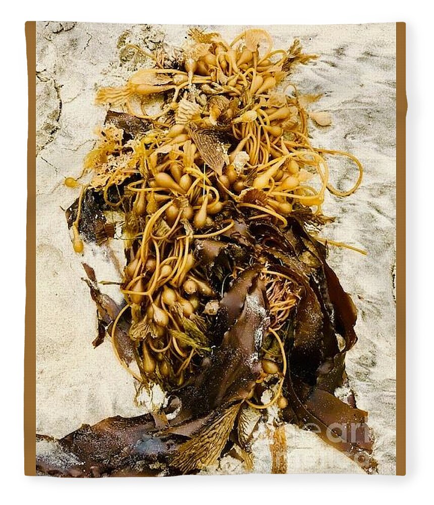Seaweed Fleece Blanket featuring the photograph Seaweed on beach sand by Lana Sylber