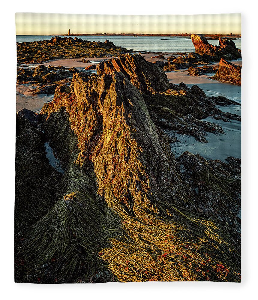 New Hampshire Fleece Blanket featuring the photograph Seaweed Over Rocks At Low Tide, Fort Foster. by Jeff Sinon