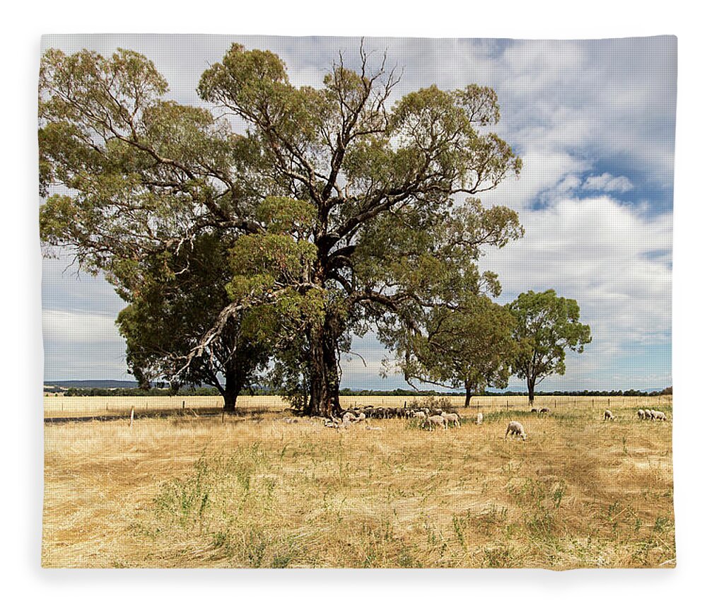 Paddock Fleece Blanket featuring the photograph Shade, anywhere you can get it by Linda Lees