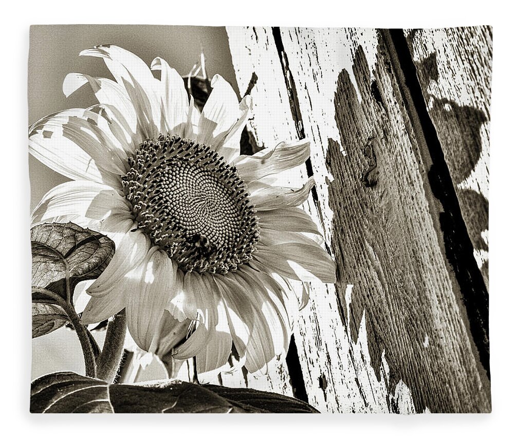 Sunflower Fleece Blanket featuring the photograph Shadow Study by Susie Loechler
