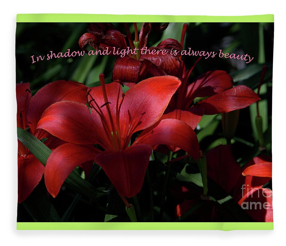 Day Lily Fleece Blanket featuring the photograph Shadows and Light by Kae Cheatham