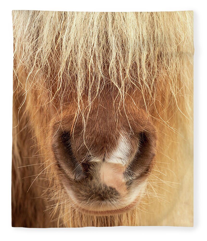Animal Fleece Blanket featuring the photograph Shaggy Miniature Horse Portrait by Kristia Adams