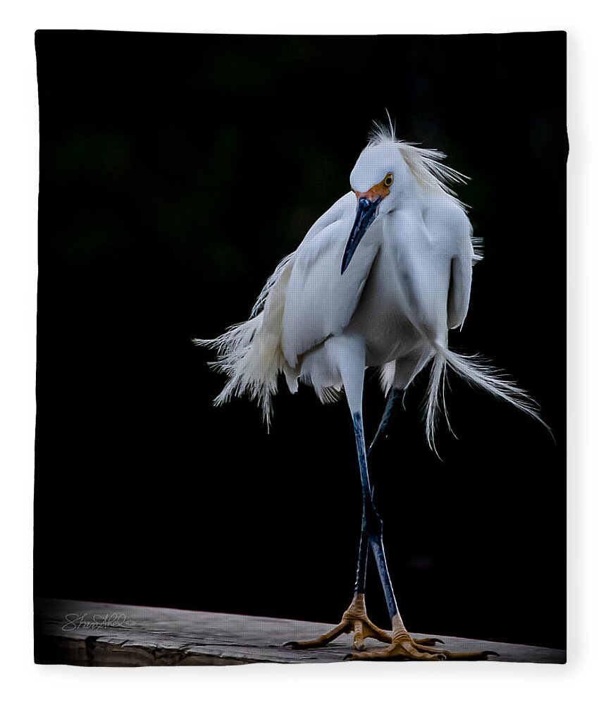 Bird Fleece Blanket featuring the photograph Shall We Dance by Shara Abel