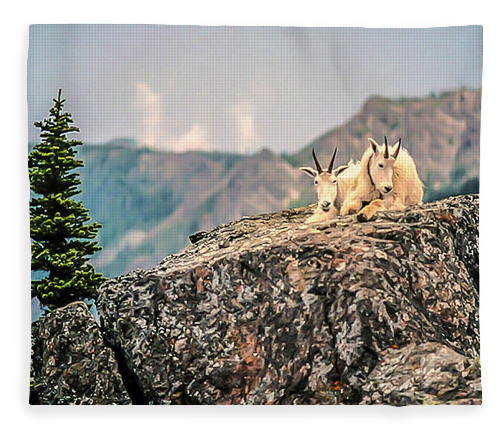 Olympic National Park Fleece Blanket featuring the photograph Sharing Rest Spot by Doug Scrima