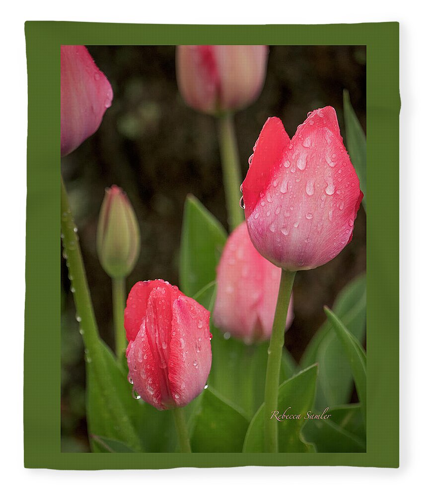 Shelter Fleece Blanket featuring the photograph Sheltering in Place by Rebecca Samler