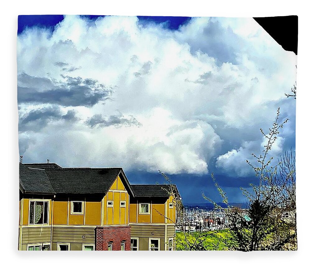 Weather Fleece Blanket featuring the photograph Shower of Hail from my patio by Michael Oceanofwisdom Bidwell
