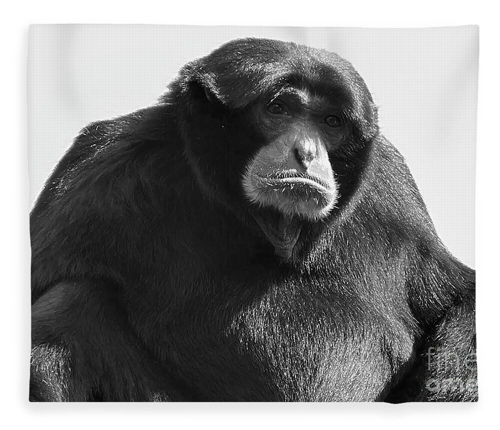 Siamang Fleece Blanket featuring the photograph Siamang Portrait in Black and White by Bentley Davis