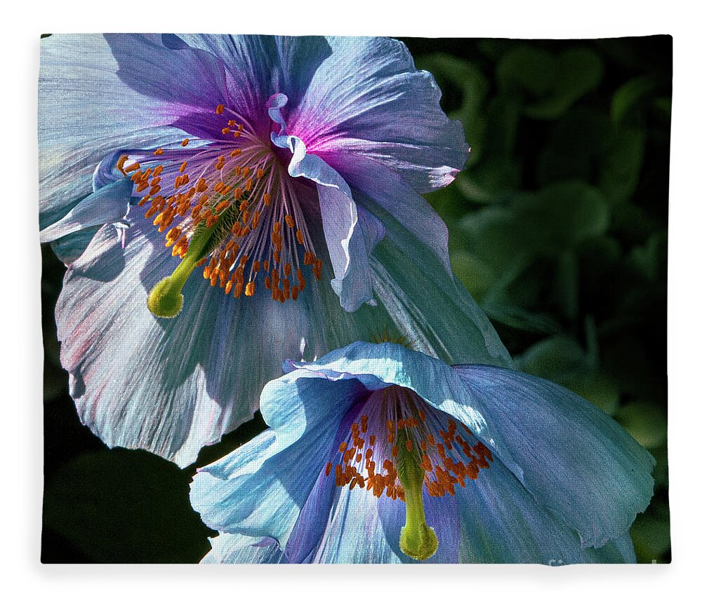 Conservatories Fleece Blanket featuring the photograph Silk Poppies by Marilyn Cornwell