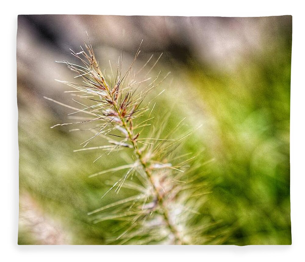 Photo Fleece Blanket featuring the photograph Singular Blade of Grass by Evan Foster