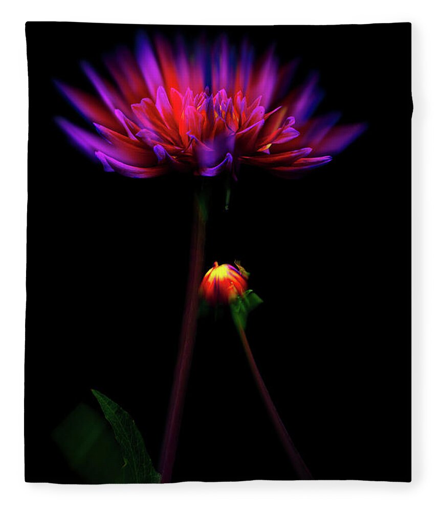 Garden Fleece Blanket featuring the photograph Smittened by Cynthia Dickinson
