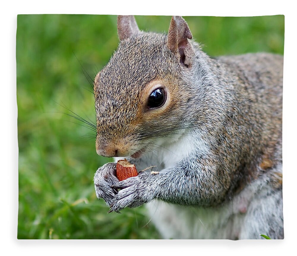 Squirrel Fleece Blanket featuring the photograph Snack Break for Squirrel by Rona Black