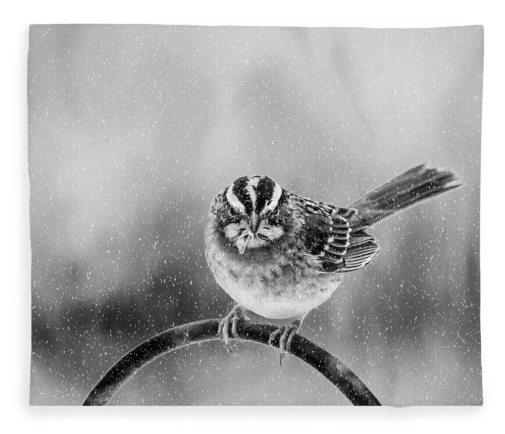 Bird Fleece Blanket featuring the photograph Snow Again by Cathy Kovarik