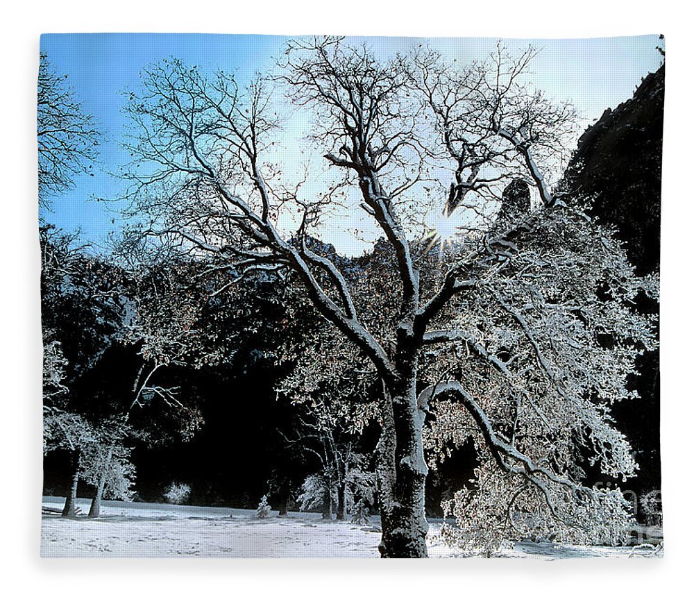 Dave Welling Fleece Blanket featuring the photograph Snow Covered Black Oaks Quercus Kelloggii Yosemite by Dave Welling