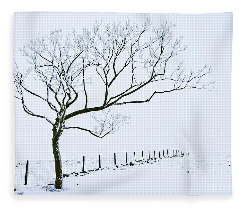 Peak District Fleece Blanket featuring the photograph Snow covered tree and fence, Peak District, England by Neale And Judith Clark