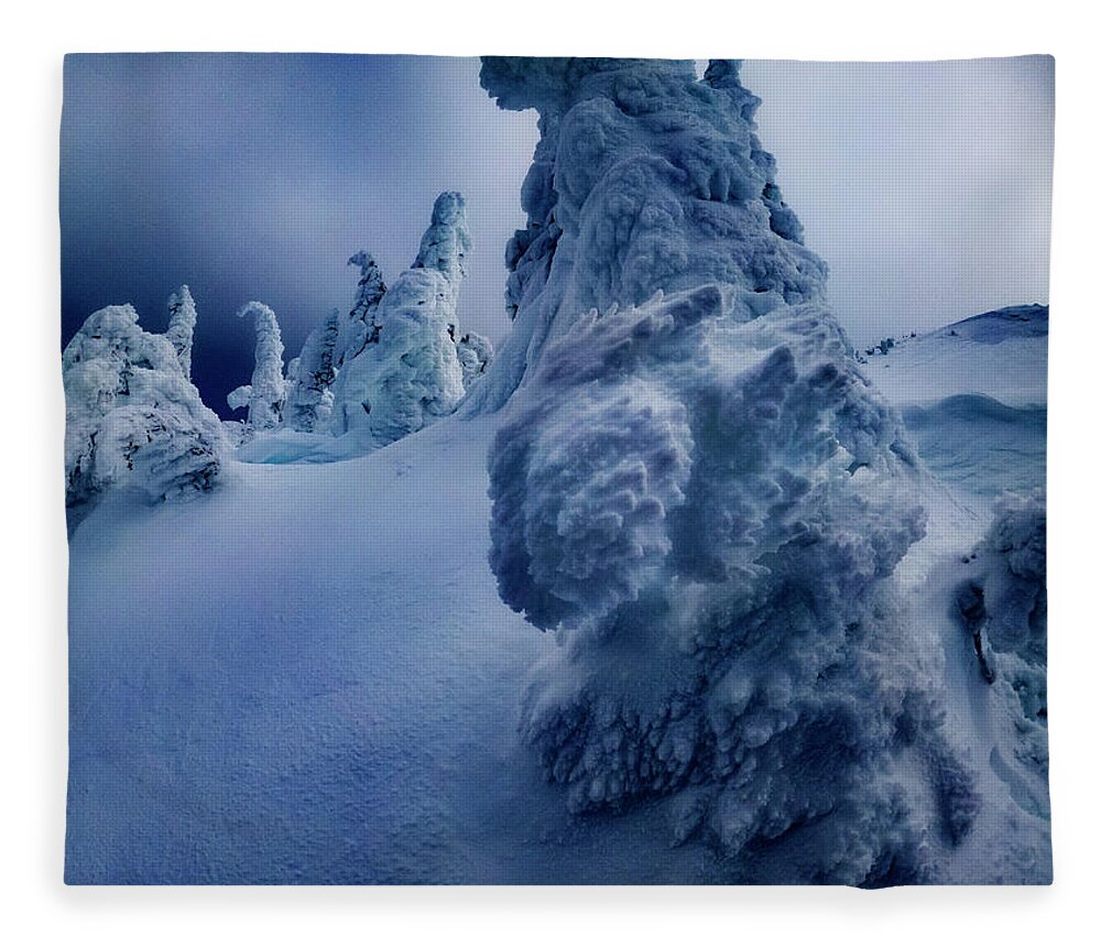 Tree Fleece Blanket featuring the photograph Snow Covered Trees 5 by Pelo Blanco Photo