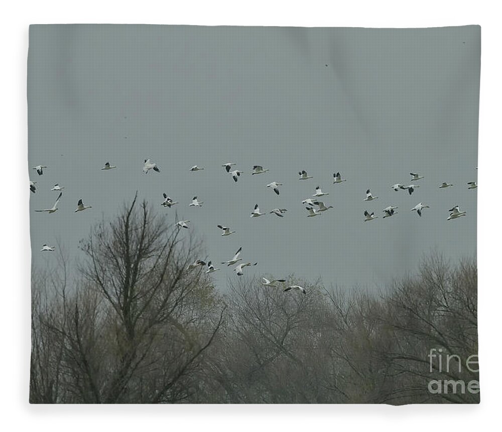Snow Geese Fleece Blanket featuring the photograph Snow Geese in the Sky by Amazing Action Photo Video