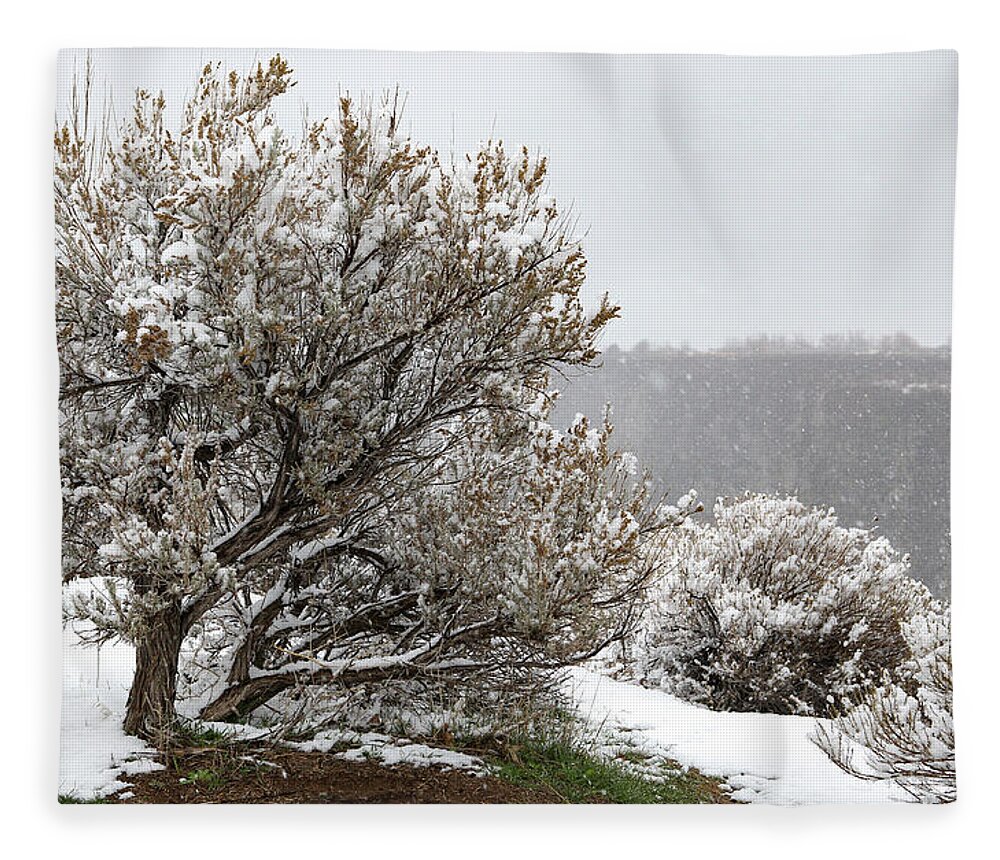 Snow Fleece Blanket featuring the photograph Snow on Sage by Diane Bohna