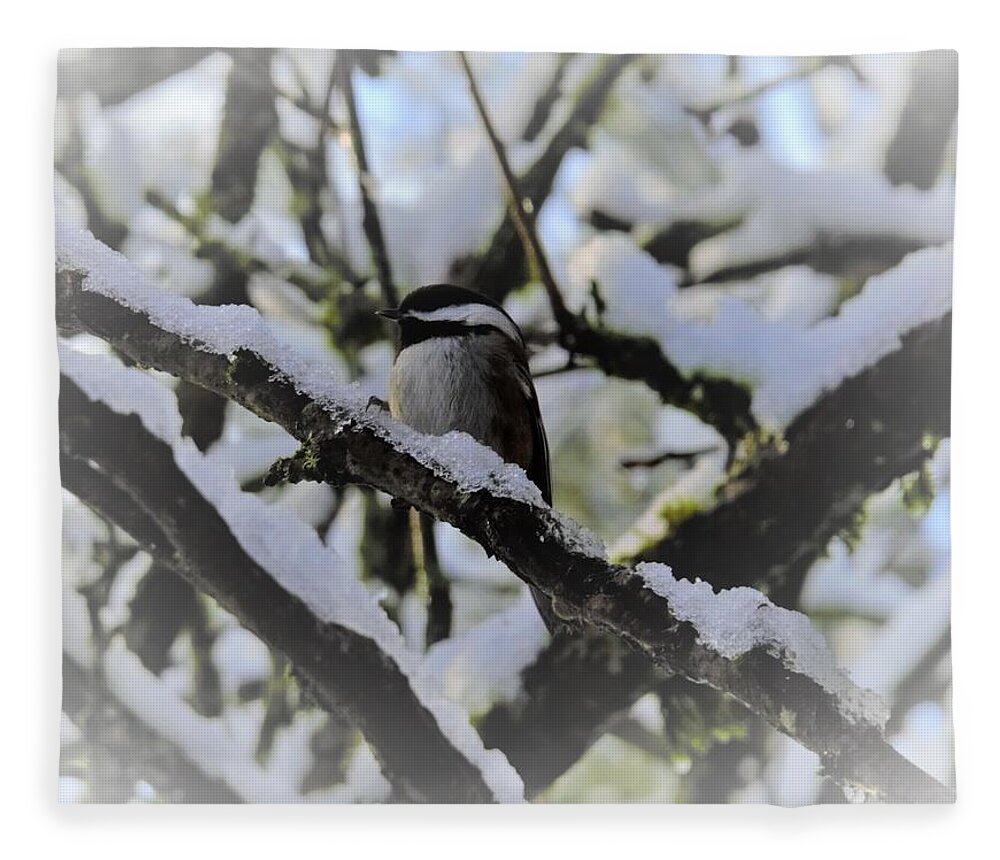 Bird Fleece Blanket featuring the photograph Snowbird by James Cousineau