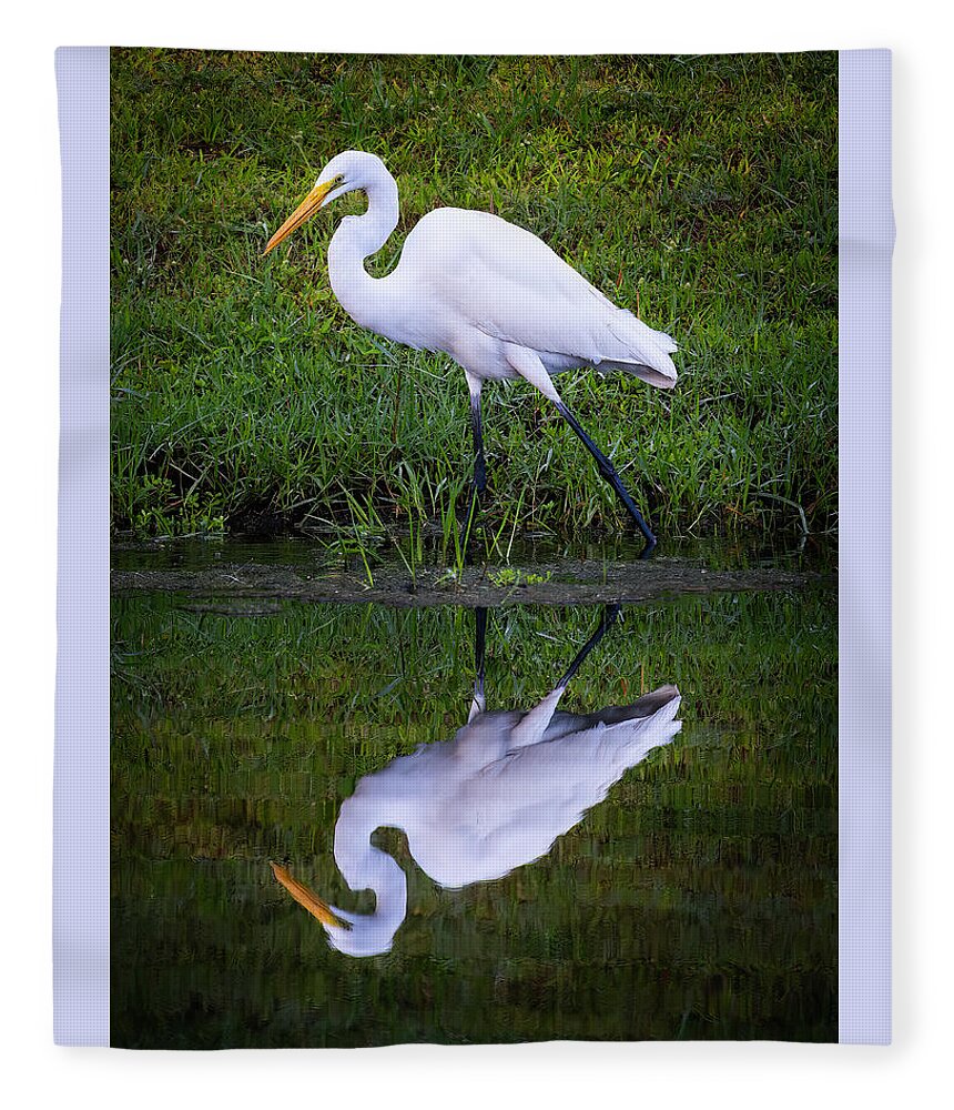 Birds Fleece Blanket featuring the photograph Snowy Egret by Larry Marshall