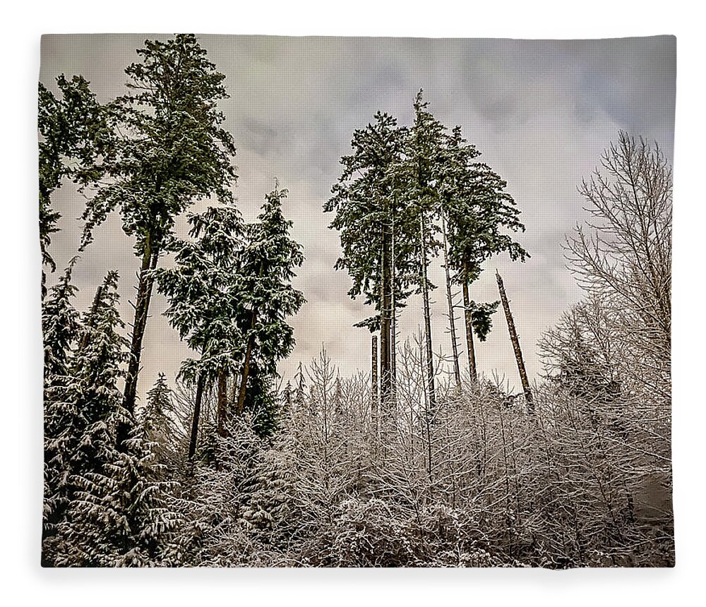 Forest Fleece Blanket featuring the photograph Snowy Forest by Anamar Pictures