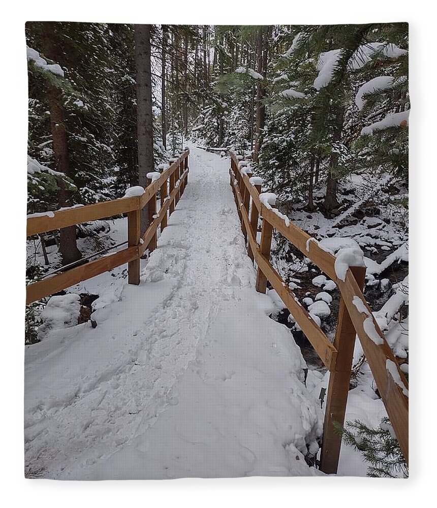 Landscape Fleece Blanket featuring the photograph Snowy pathway by Erin Mitchell