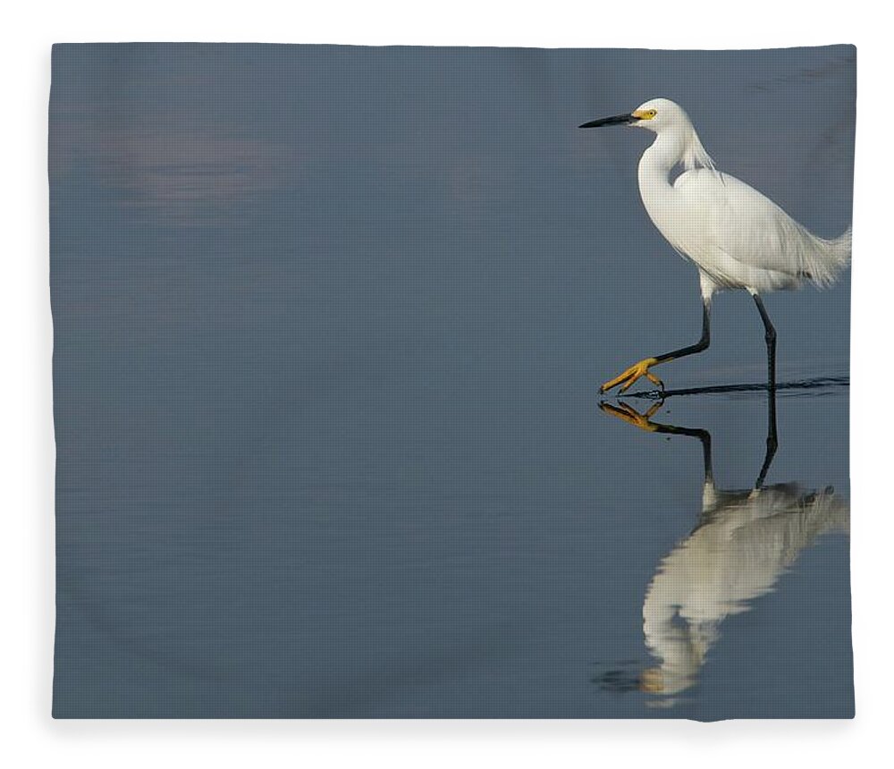 Florida Fleece Blanket featuring the photograph Snowy Stroll by Melissa Southern