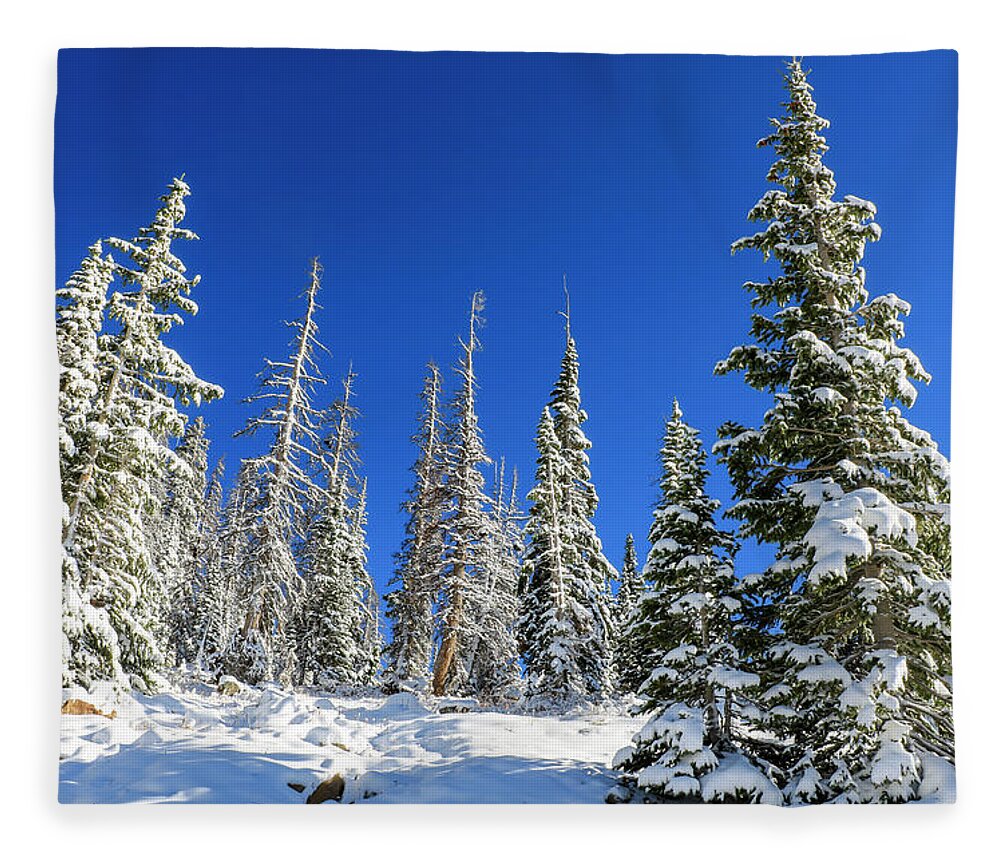 Aspens Fleece Blanket featuring the photograph Snowy Trees 2, Mirror Lake Scenic Byway by Dawn Richards