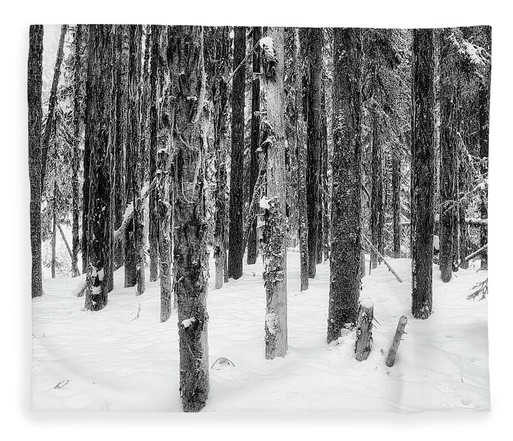 Black And White Photography Fleece Blanket featuring the photograph Snowy Trees Uniquely the Same by Allan Van Gasbeck