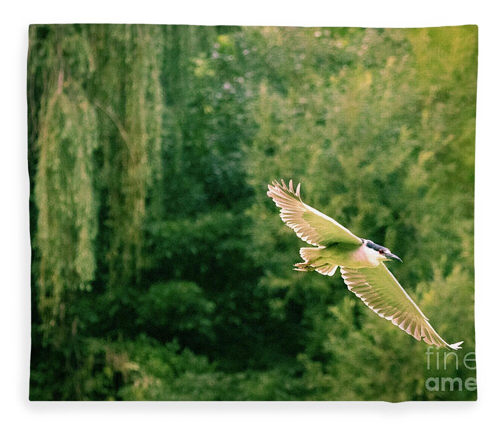 Heron Fleece Blanket featuring the photograph Soaring Above by Alyssa Tumale