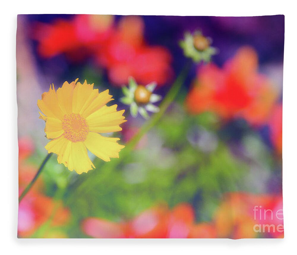 Soft Fleece Blanket featuring the photograph Soft and Light 21 by Becqi Sherman