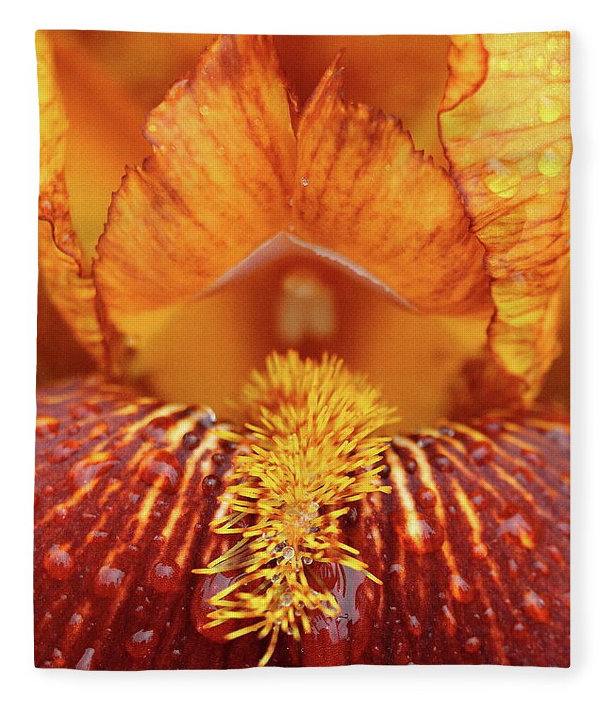 Flower Fleece Blanket featuring the photograph Soggy Iris by Lens Art Photography By Larry Trager
