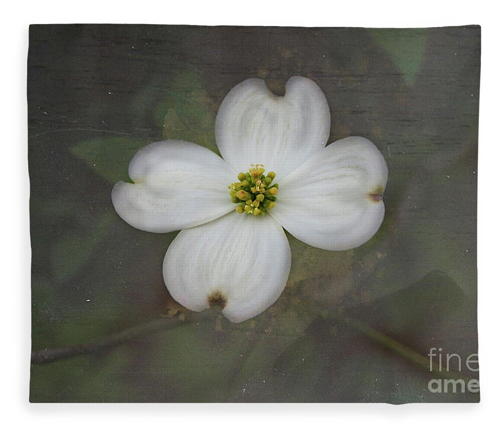 Dogwood Fleece Blanket featuring the photograph Solitary Dogwood Bloom by Amy Dundon