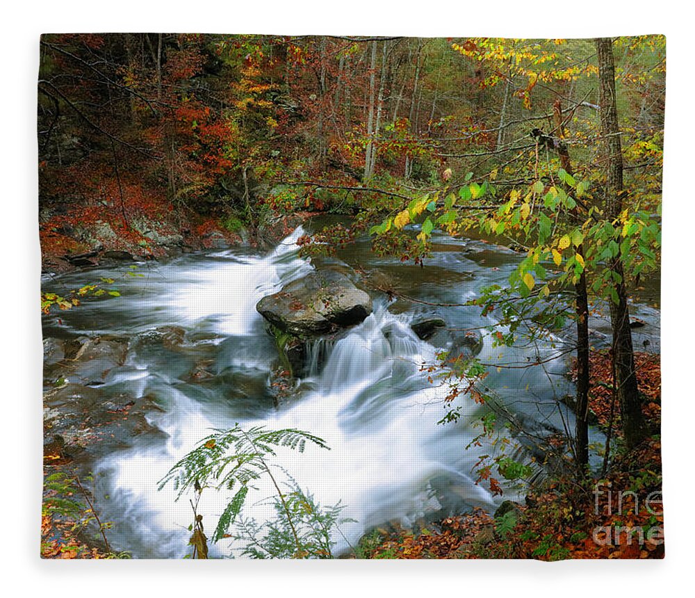 Creeks Fleece Blanket featuring the photograph Solitude Falls by Rick Lipscomb