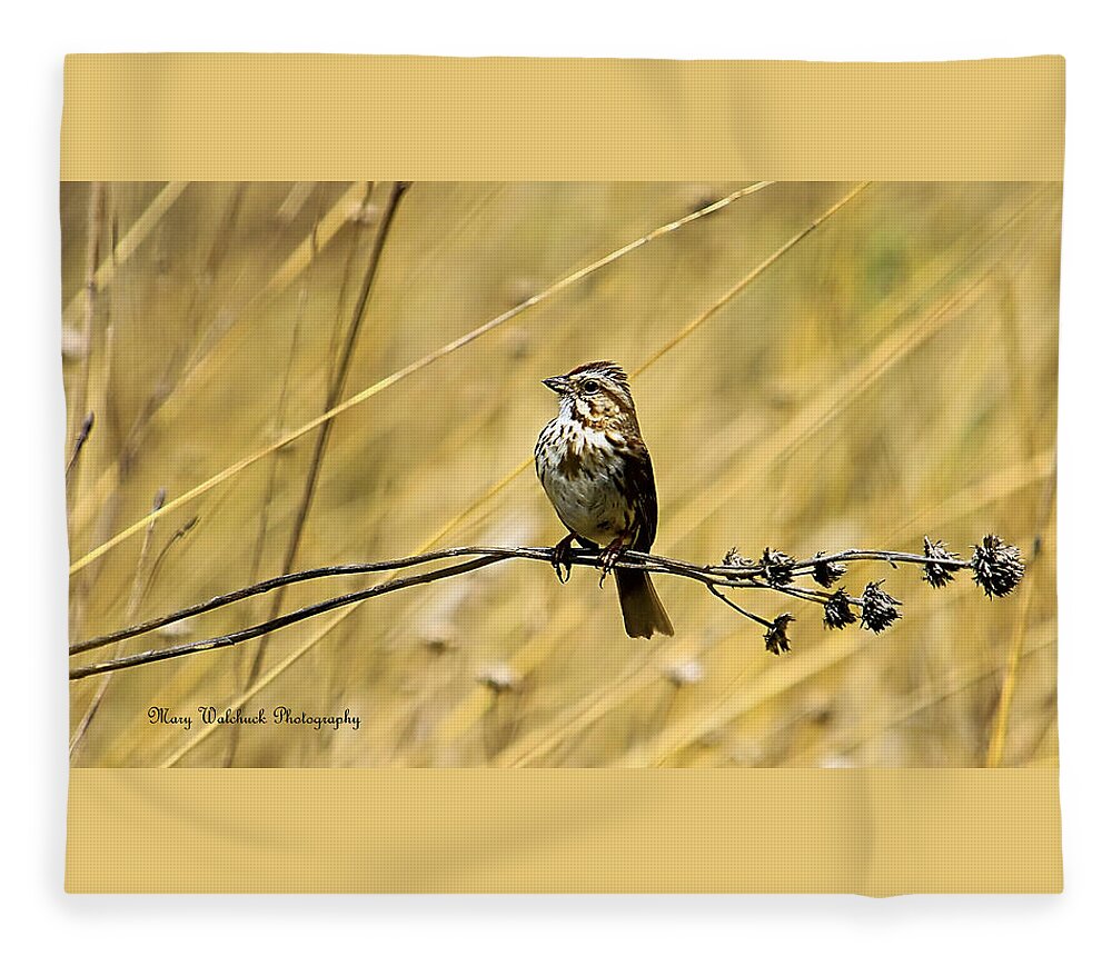 Birds Fleece Blanket featuring the photograph Song Sparrow by Mary Walchuck