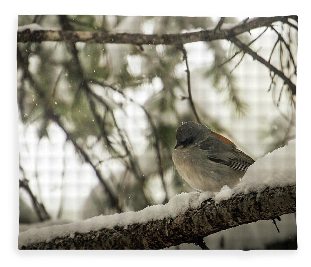 Wildlife Fleece Blanket featuring the photograph Songbird in Winter by Laura Putman