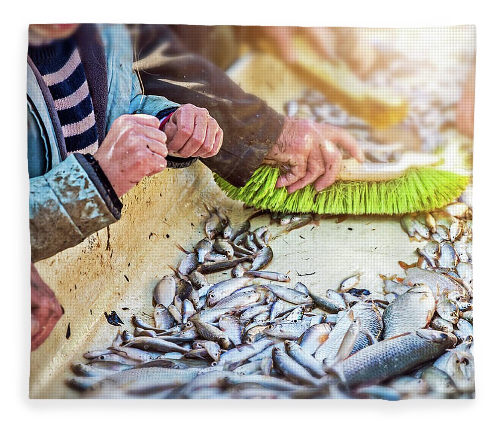 Fish Fleece Blanket featuring the photograph Sorting by hand fishes after catch of fish from pond by Gregory DUBUS