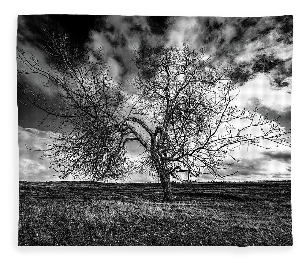 Tree Fleece Blanket featuring the photograph South Monochrome by Darcy Dietrich