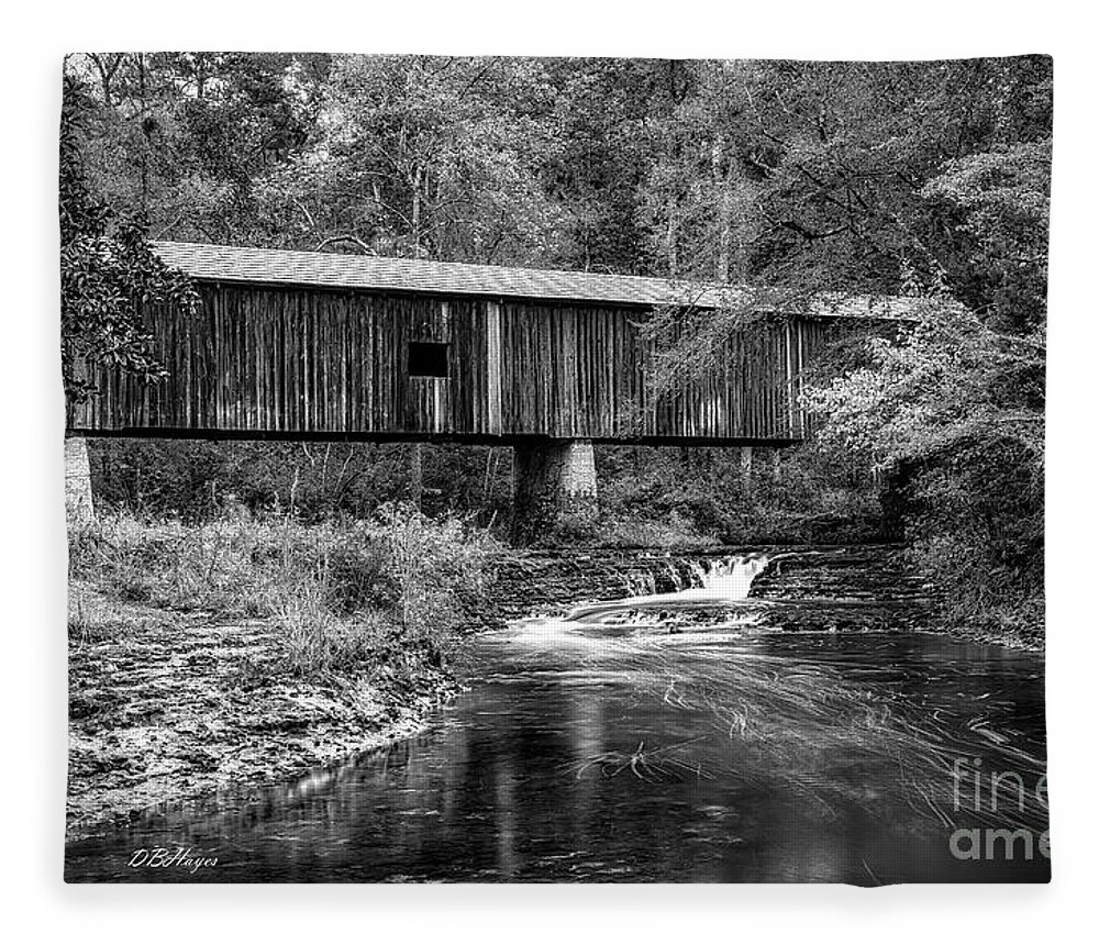 Black And White Fleece Blanket featuring the photograph Southern Gem III in Black and White by DB Hayes