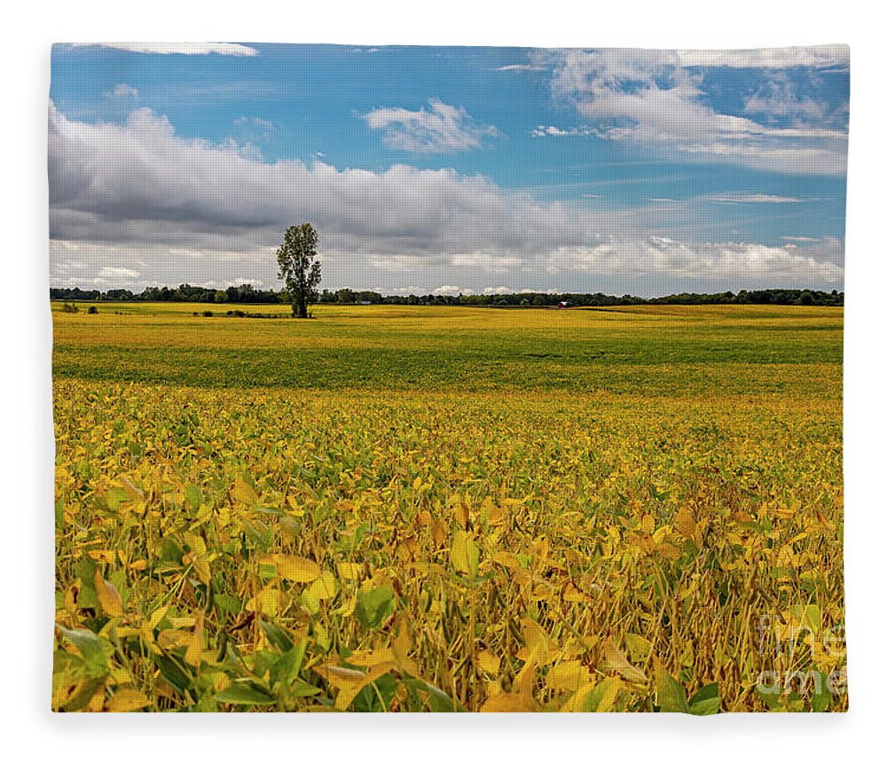 Soybean Fleece Blanket featuring the photograph Soybean Field by Jim West