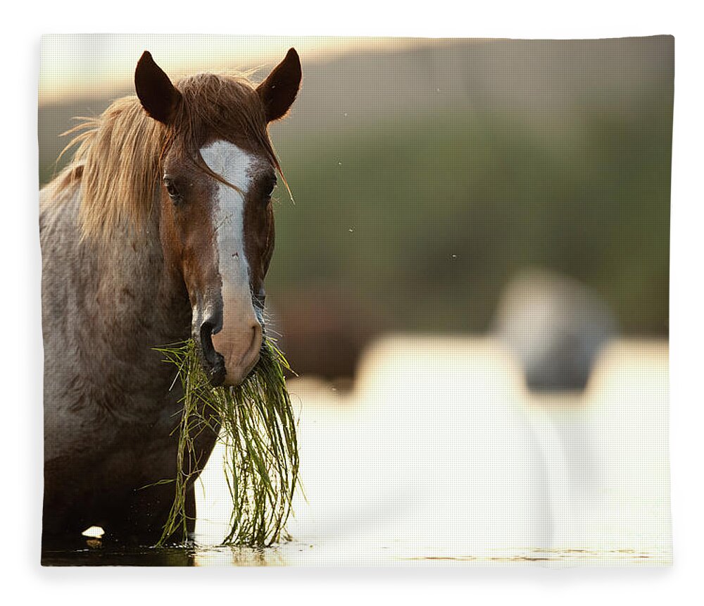 Salt River Wild Horses Fleece Blanket featuring the photograph Spaghetti by Shannon Hastings