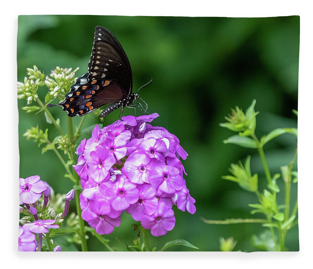 Lenoir Preserve Fleece Blanket featuring the photograph Spicebush Swallowtail by Kevin Suttlehan
