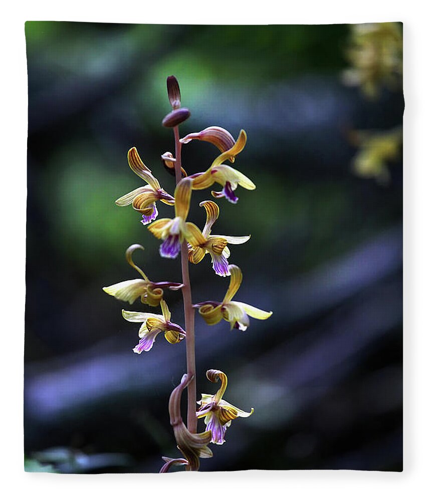  Fleece Blanket featuring the photograph Spiked Crested Coralroot by William Rainey
