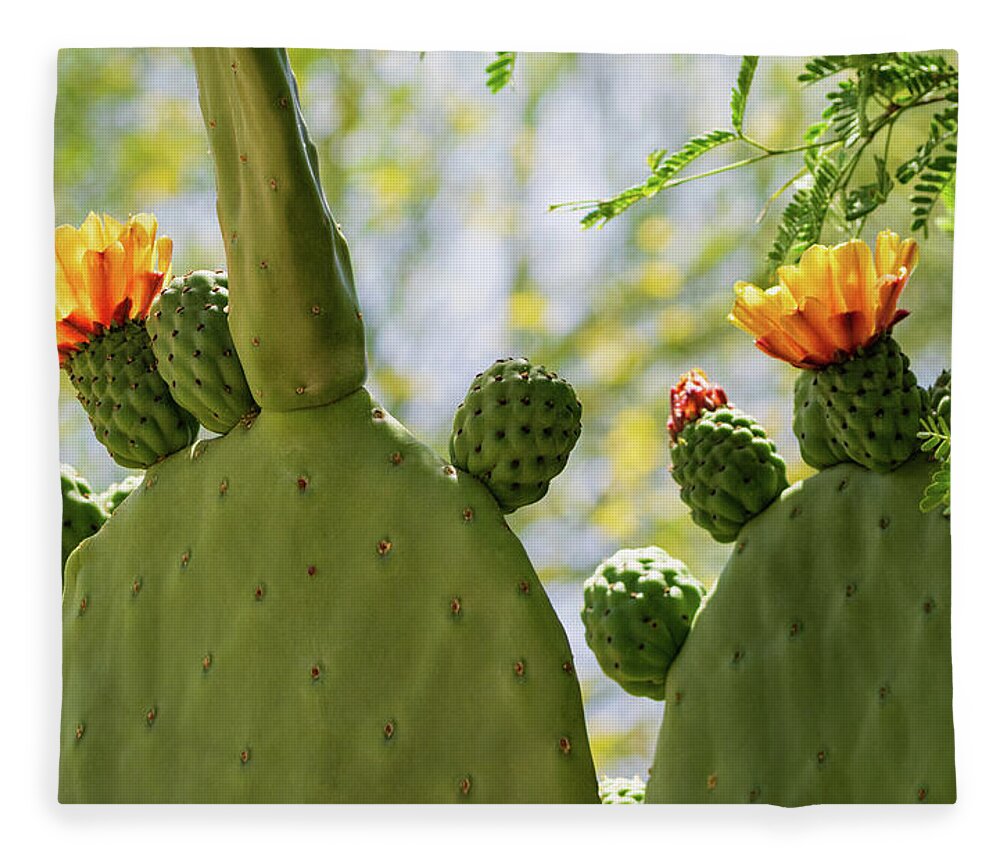 Cactus Fleece Blanket featuring the photograph Spineless Prickly Pear Cactus Blooms by Marianne Campolongo
