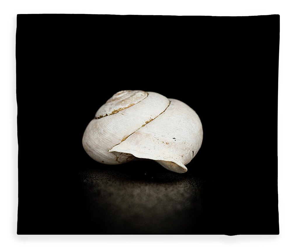 Black Fleece Blanket featuring the photograph Spiral Shell 2 by Amelia Pearn