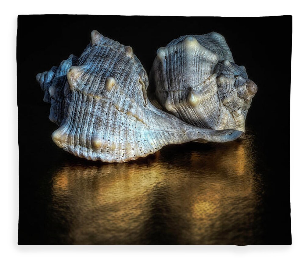 Italian Beach Shells Fleece Blanket featuring the photograph Spiral Shells by Wolfgang Stocker