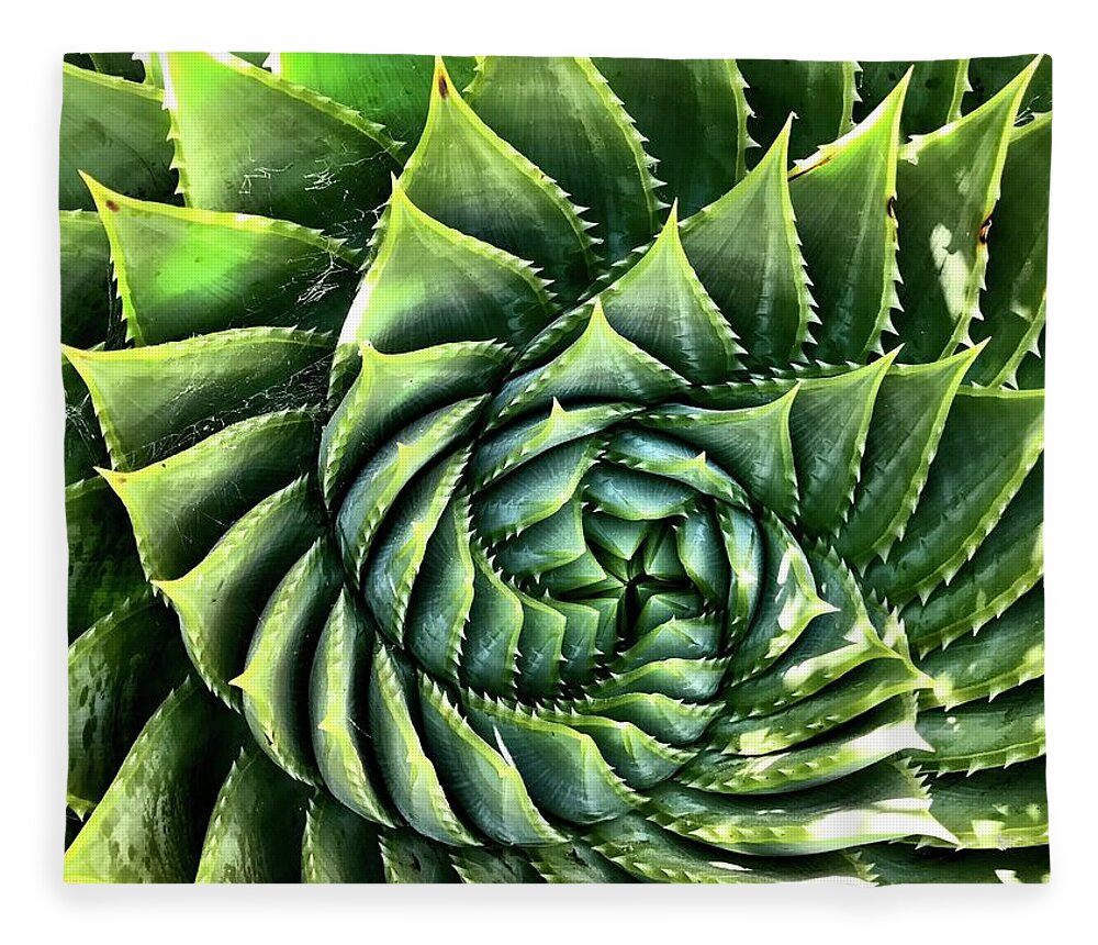  Fleece Blanket featuring the photograph Spiral Succulent by Julie Gebhardt